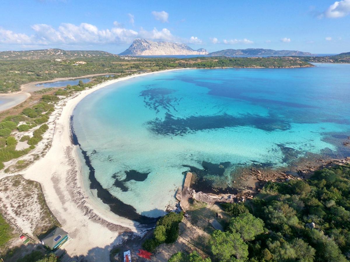 Iss Travel, Ambra Apartments - 800 M From La Cinta Beach サン・テオドーロ エクステリア 写真